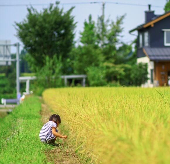 自然が豊かな環境で子どもをのびのびと育てたい