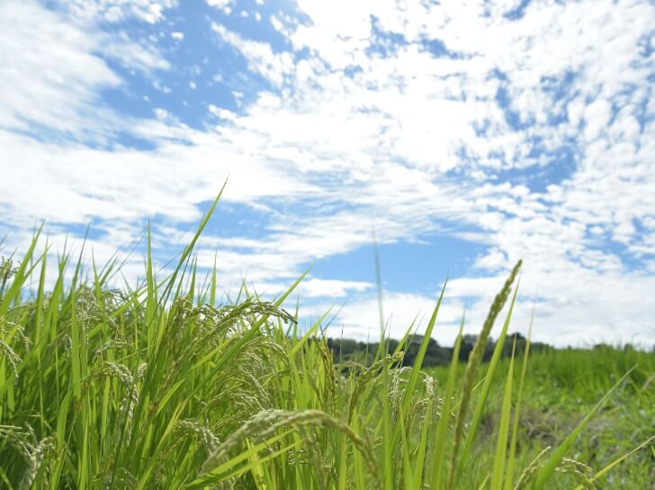 富山の気候にあったリフォーム