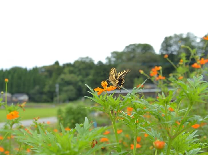 富山の木の家でつくる注文住宅