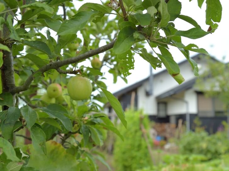 富山の工務店の家づくり