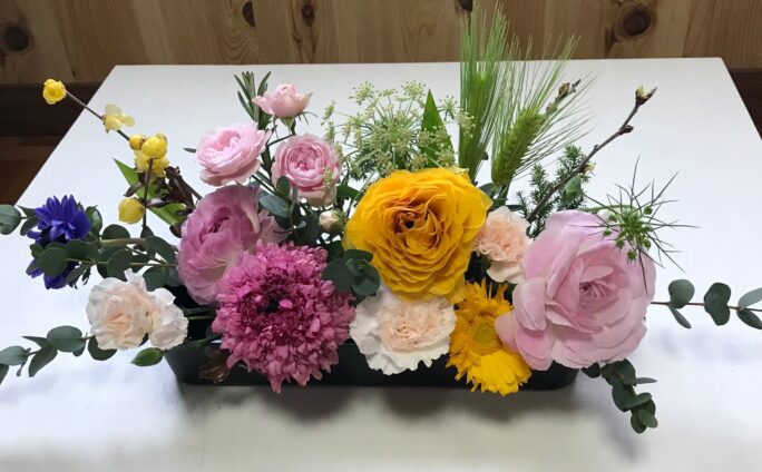 富山とくらす 春の花を楽しむ カルチャー開催開催 2月20日(日)AM10時~
